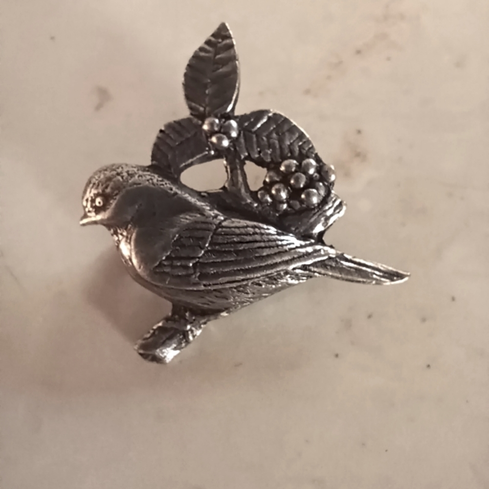 Beautiful birds and blooms pin